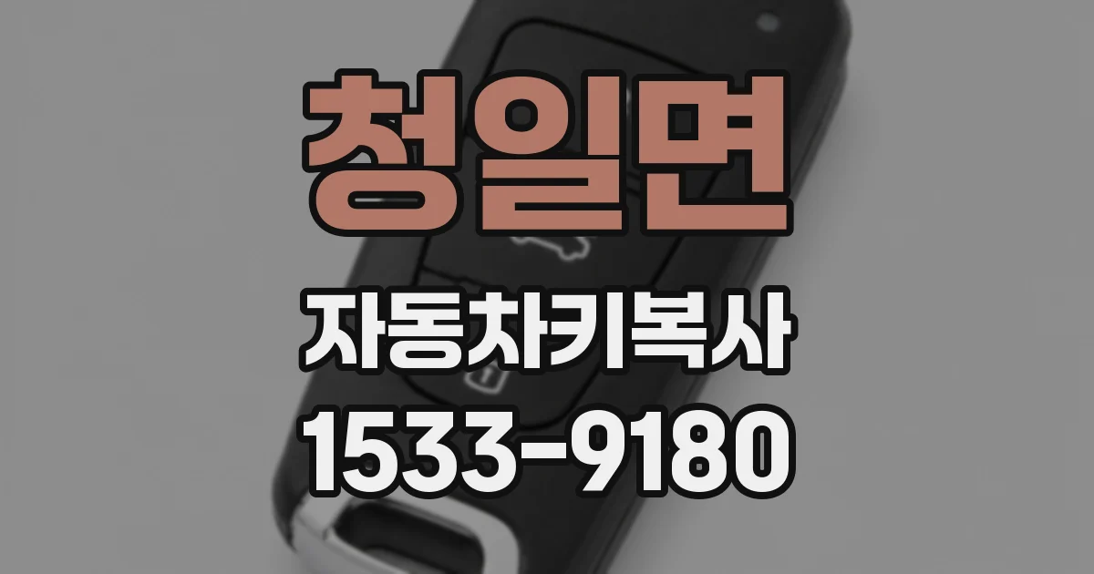 청일면 자동차키복사