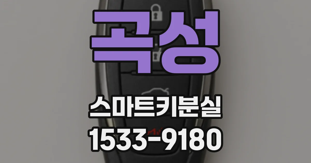 곡성 스마트키분실