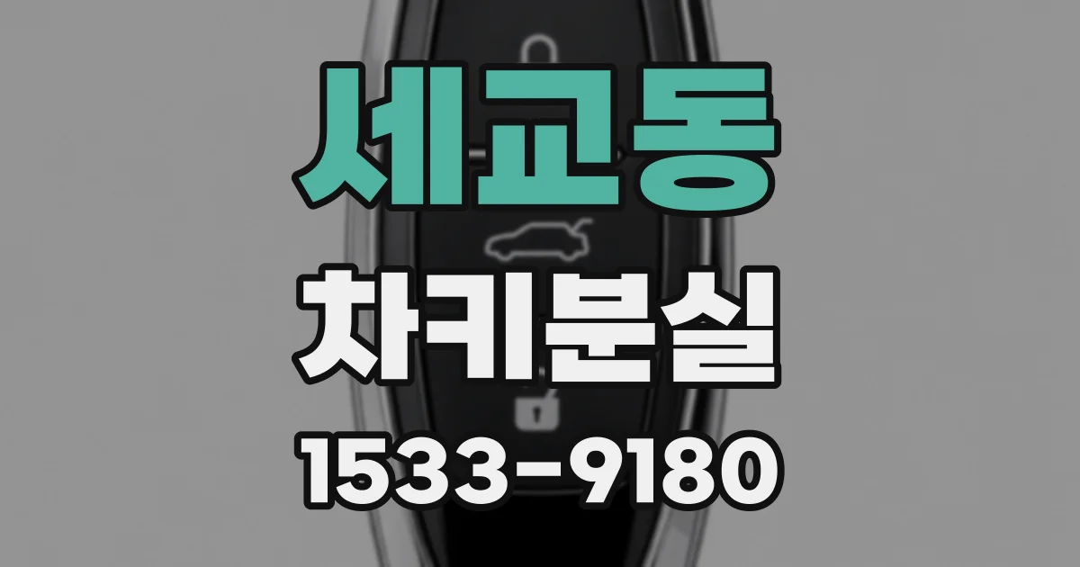 세교동 차키분실