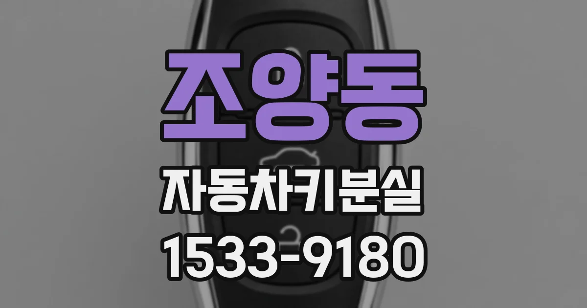 조양동 자동차키분실