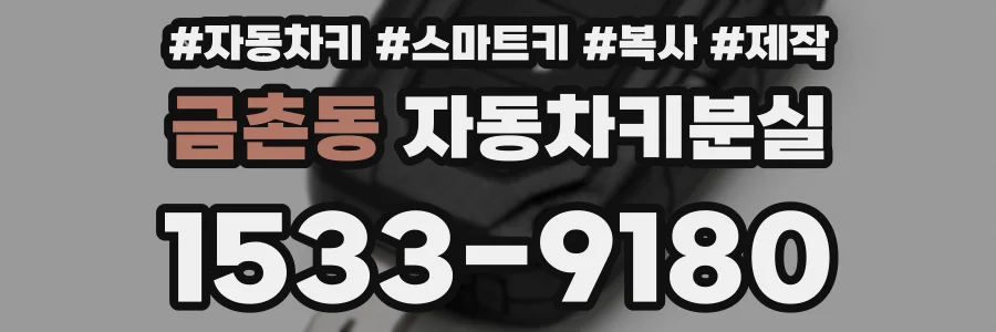 금촌동 자동차키분실