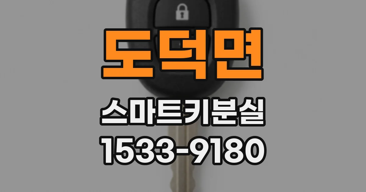 도덕면 스마트키분실