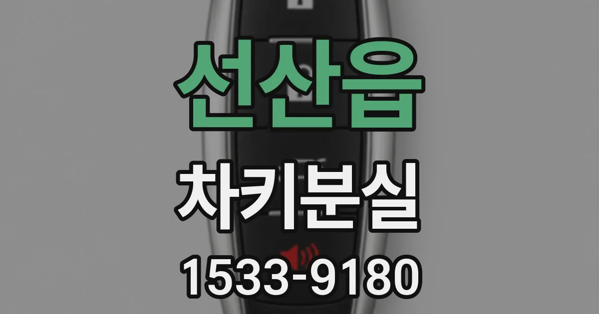 선산읍 차키분실