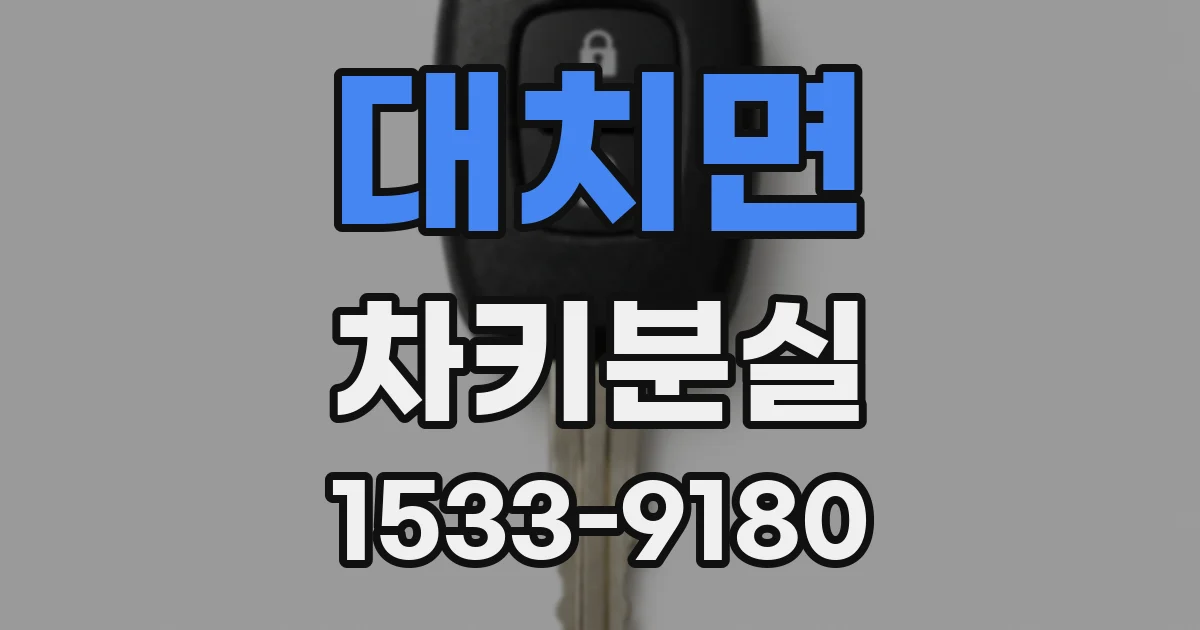 대치면 차키분실