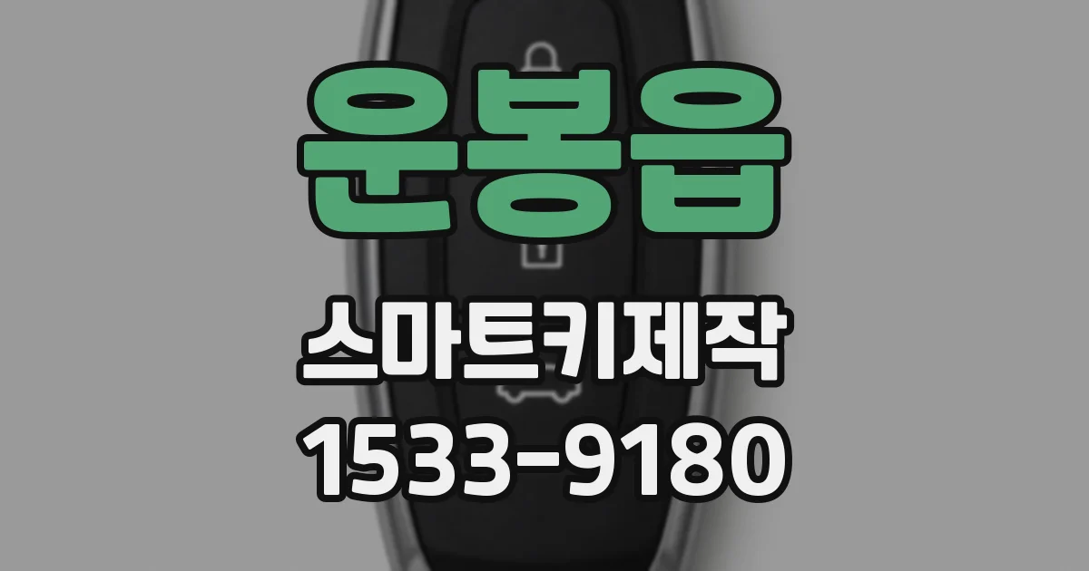 운봉읍 스마트키제작
