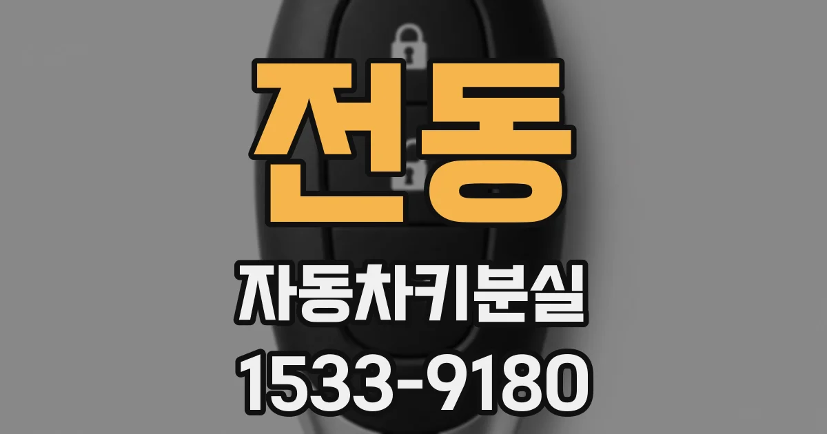 전동 자동차키분실