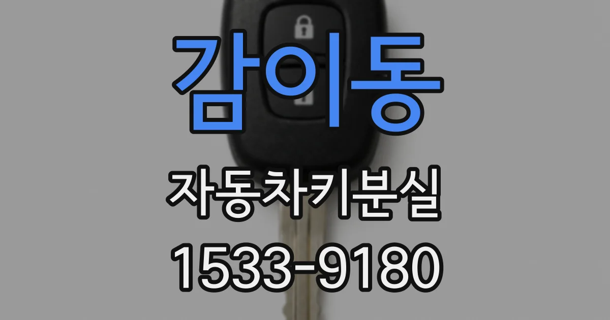 감이동 자동차키분실