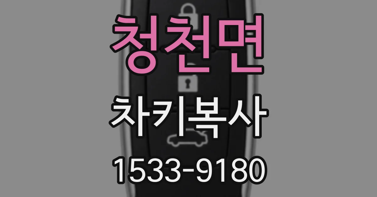 청천면 차키복사