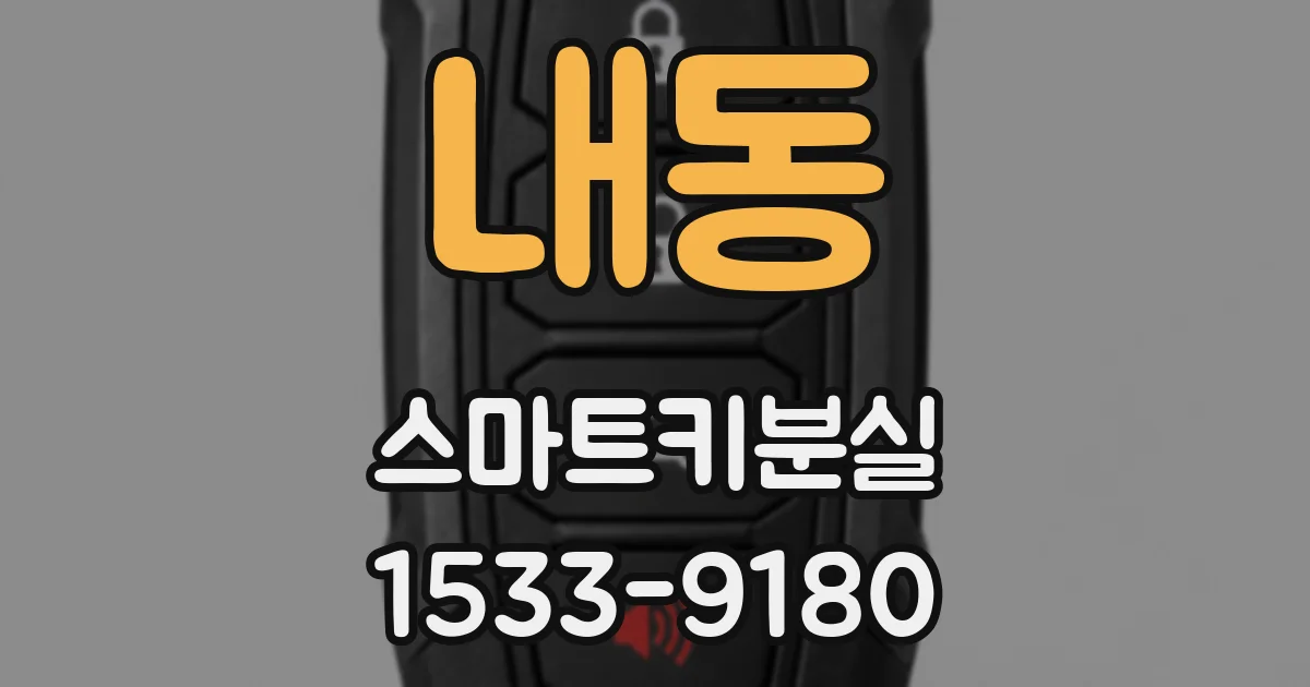 내동 스마트키분실
