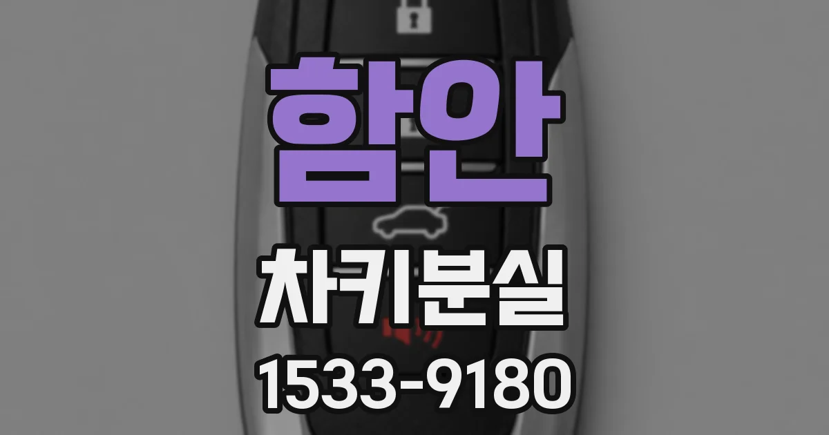 함안 차키분실