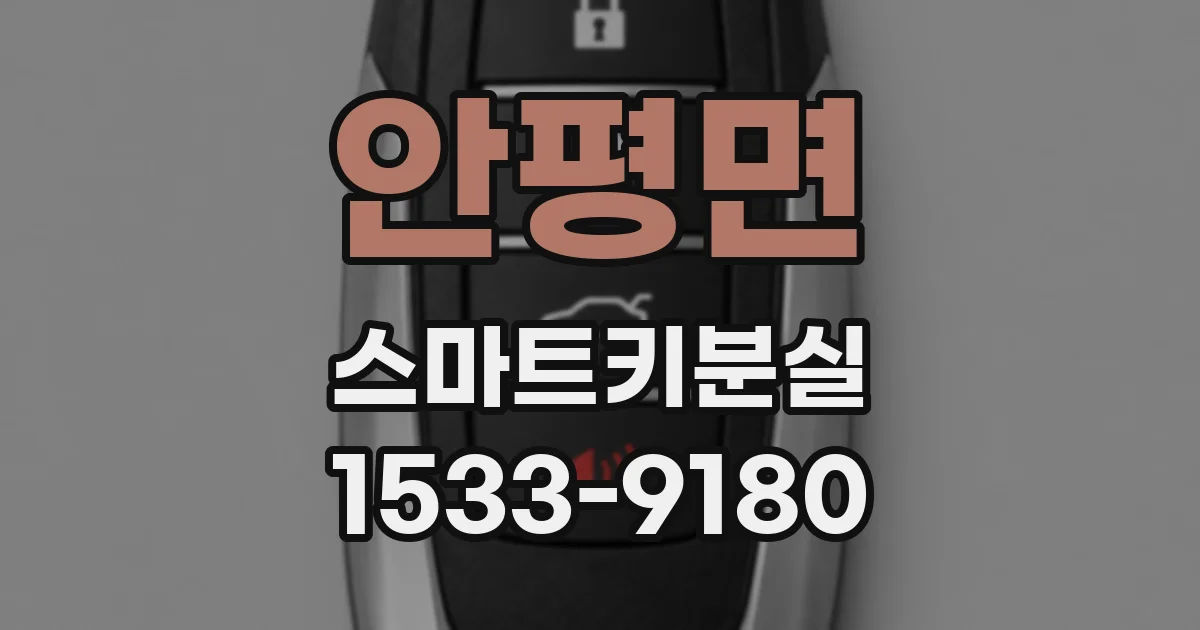안평면 스마트키분실