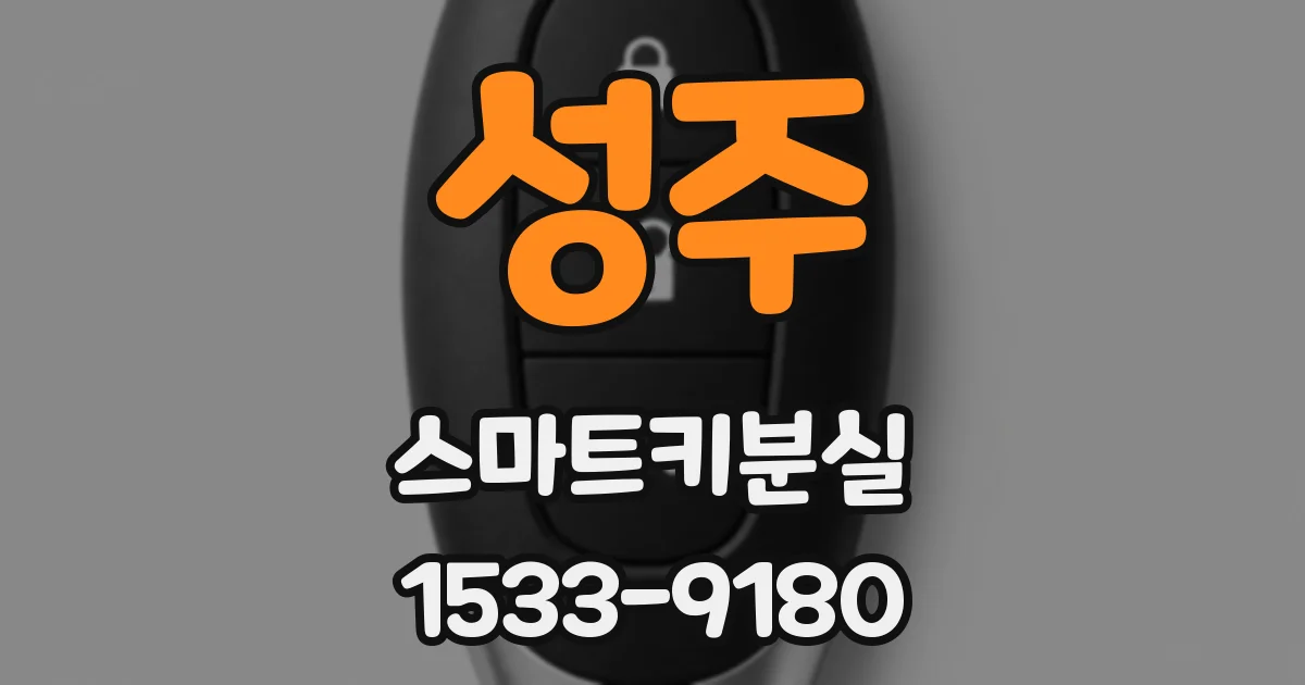 성주 스마트키분실