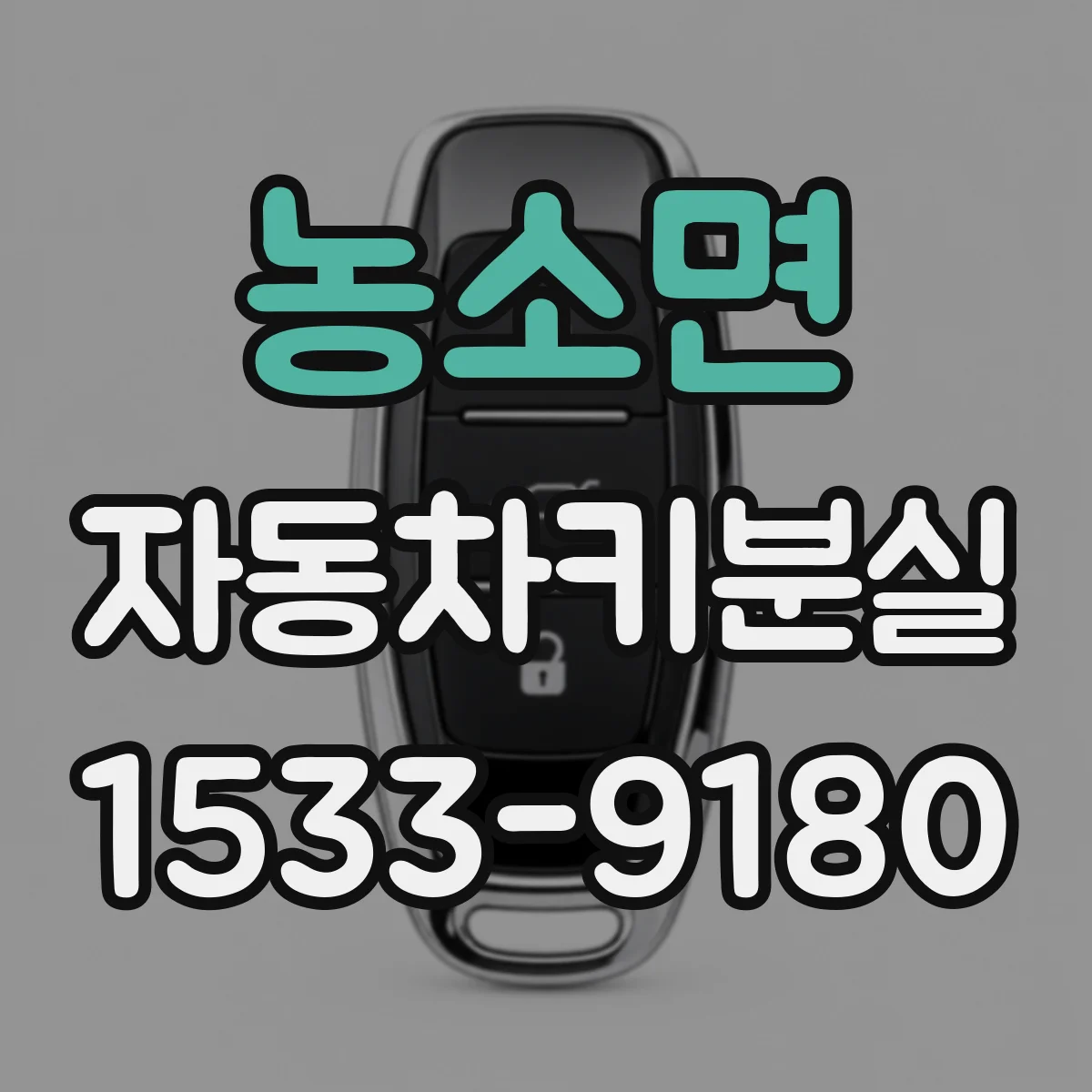 농소면 자동차키분실