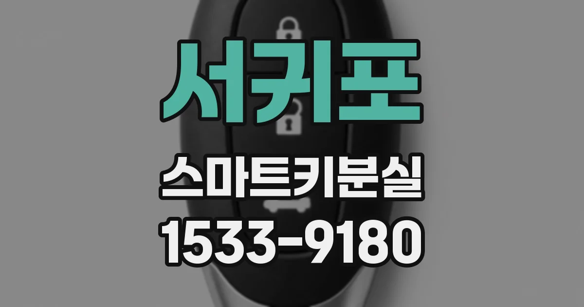 서귀포 스마트키분실