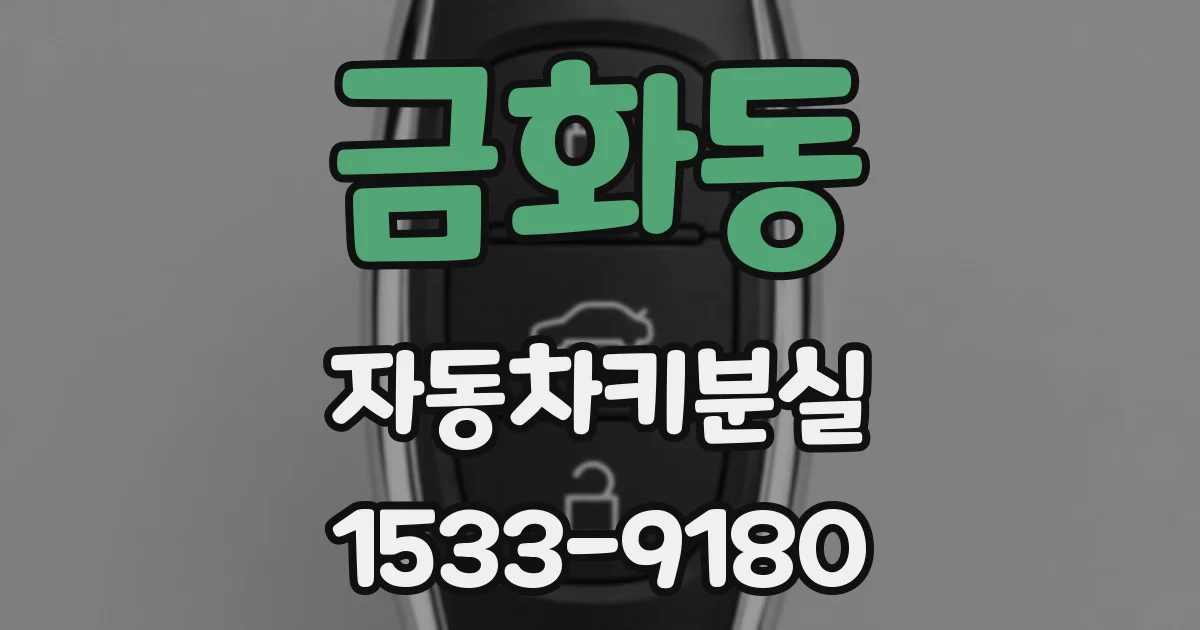 금화동 자동차키분실