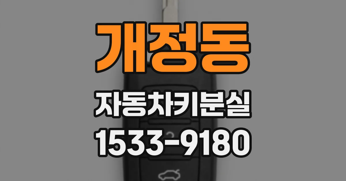 개정동 자동차키분실