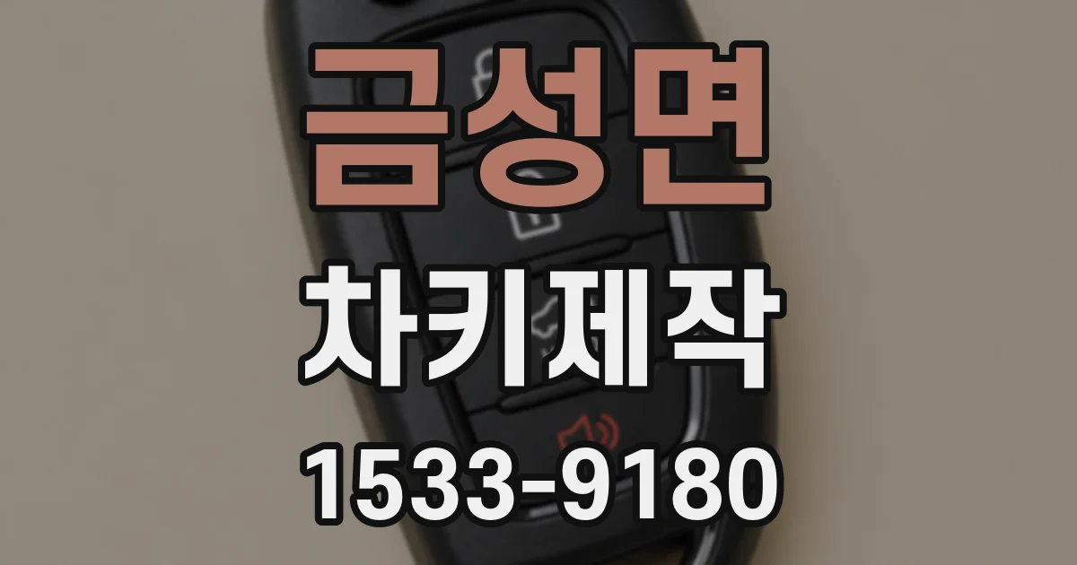 금성면 차키제작