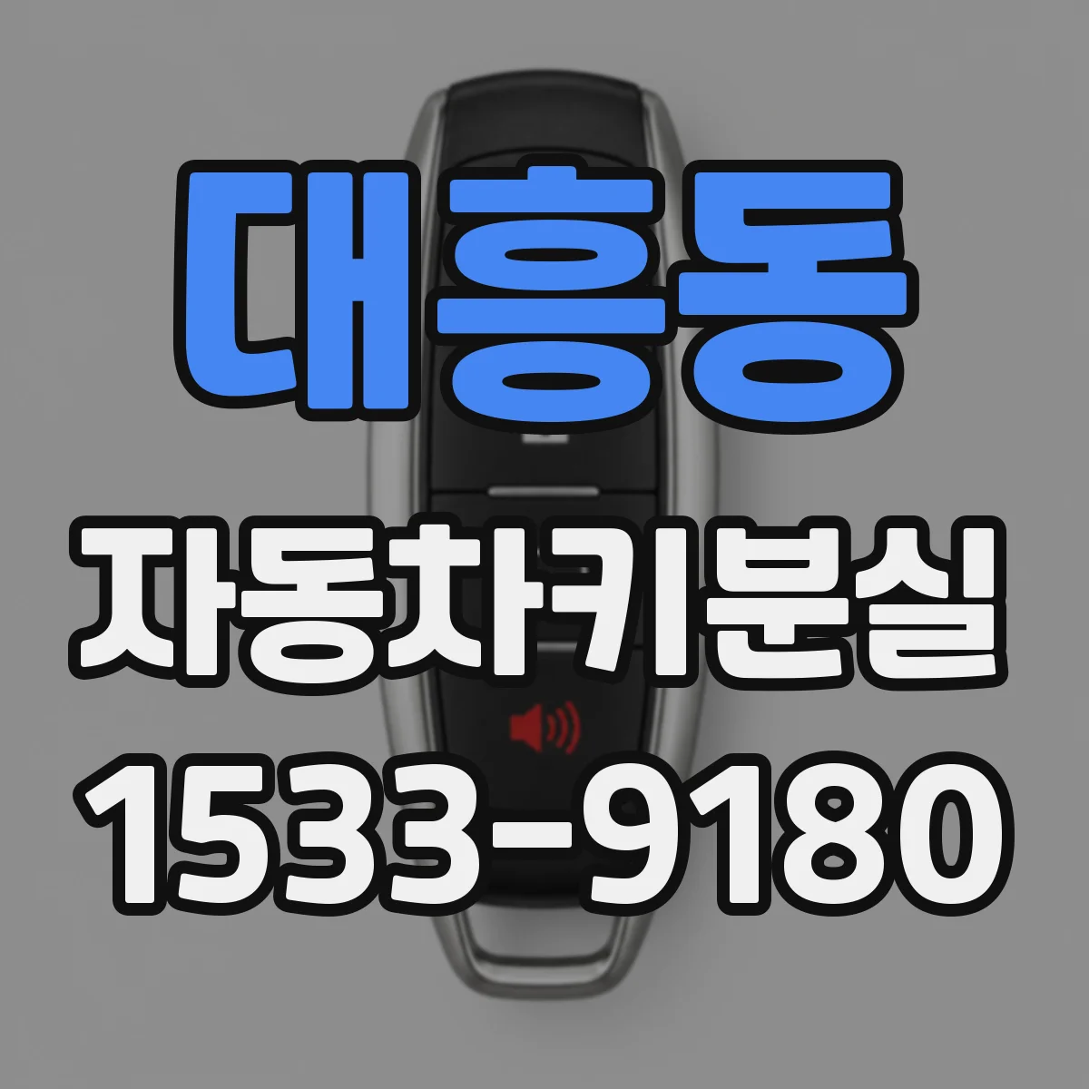 대흥동 자동차키분실