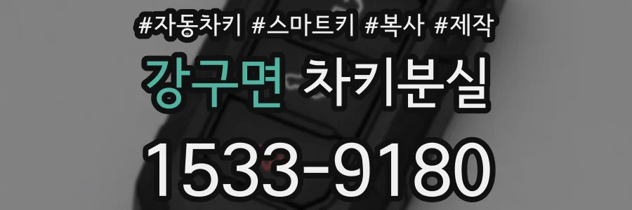 강구면 차키분실