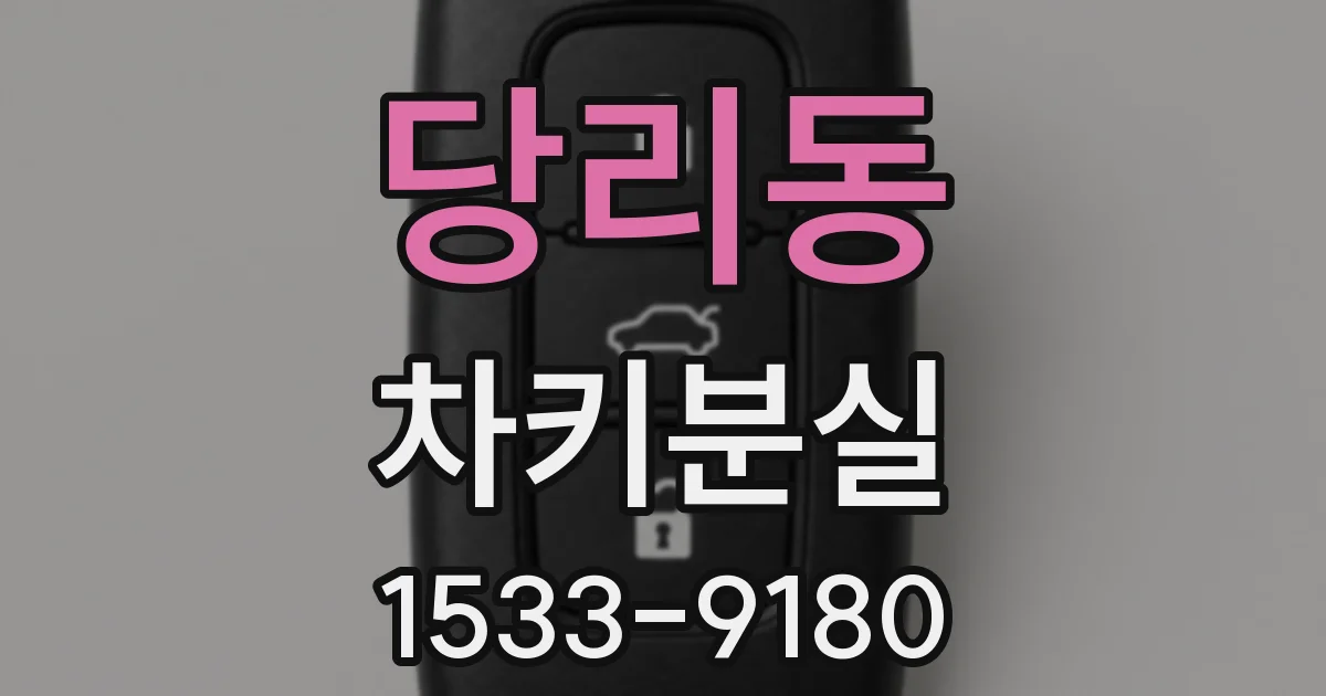 당리동 차키분실