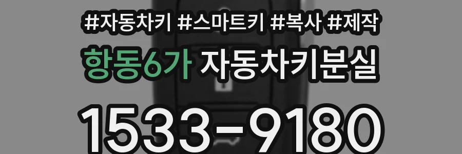 항동6가 자동차키분실