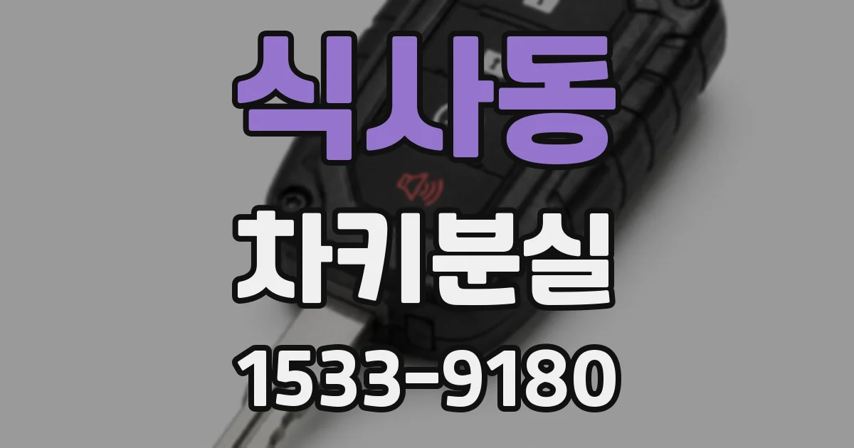식사동 차키분실