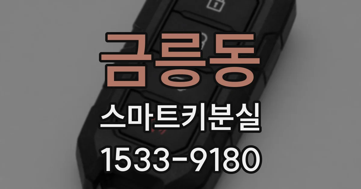 금릉동 스마트키분실