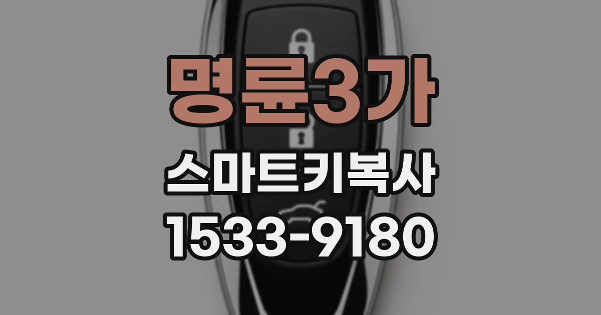 명륜3가 스마트키복사