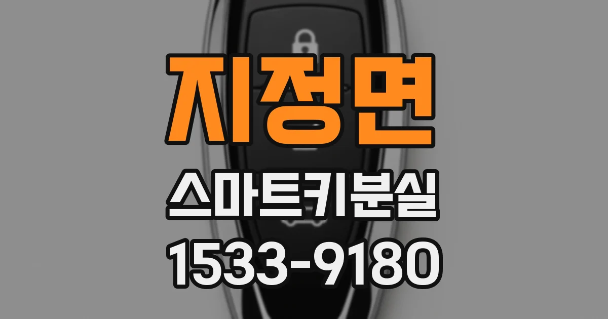 지정면 스마트키분실