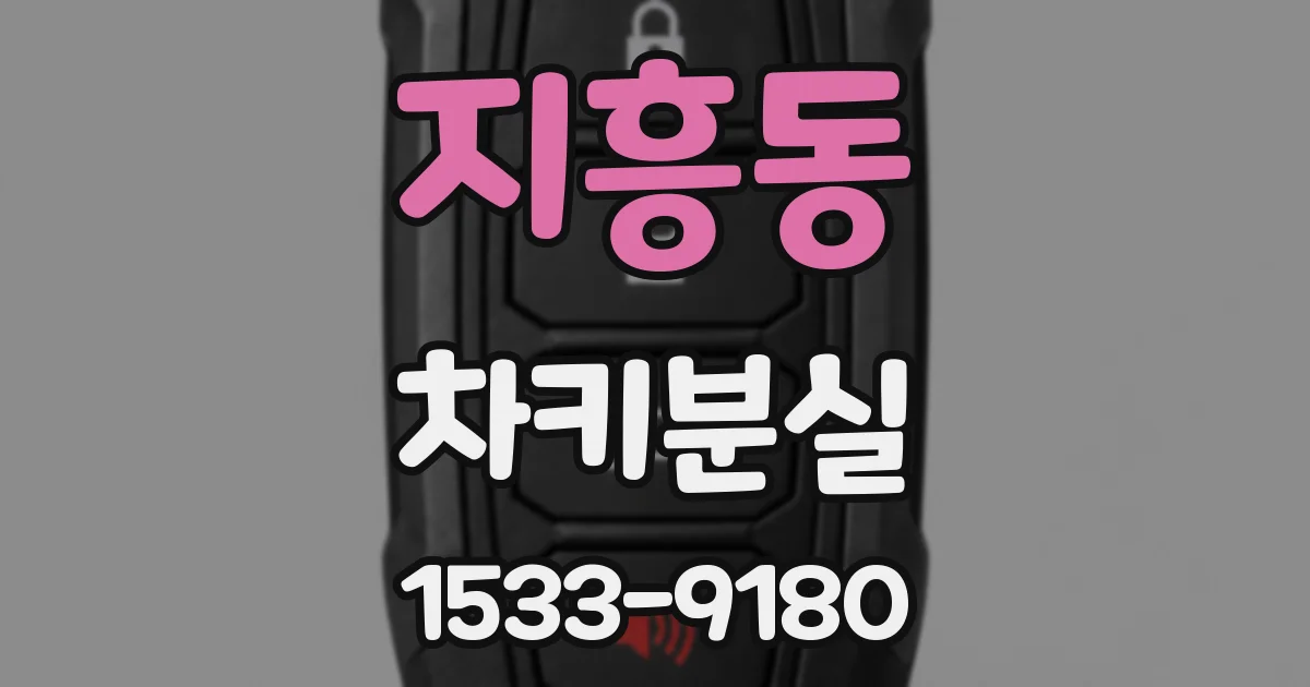 지흥동 차키분실