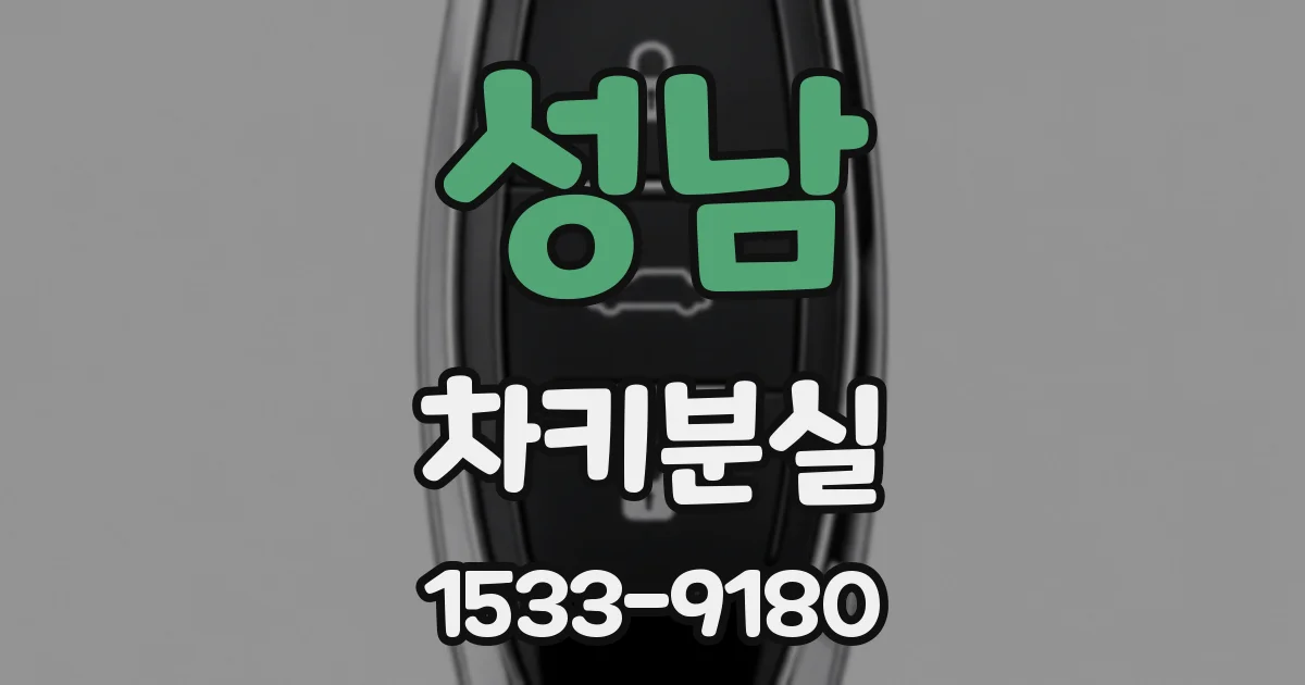 성남 차키분실