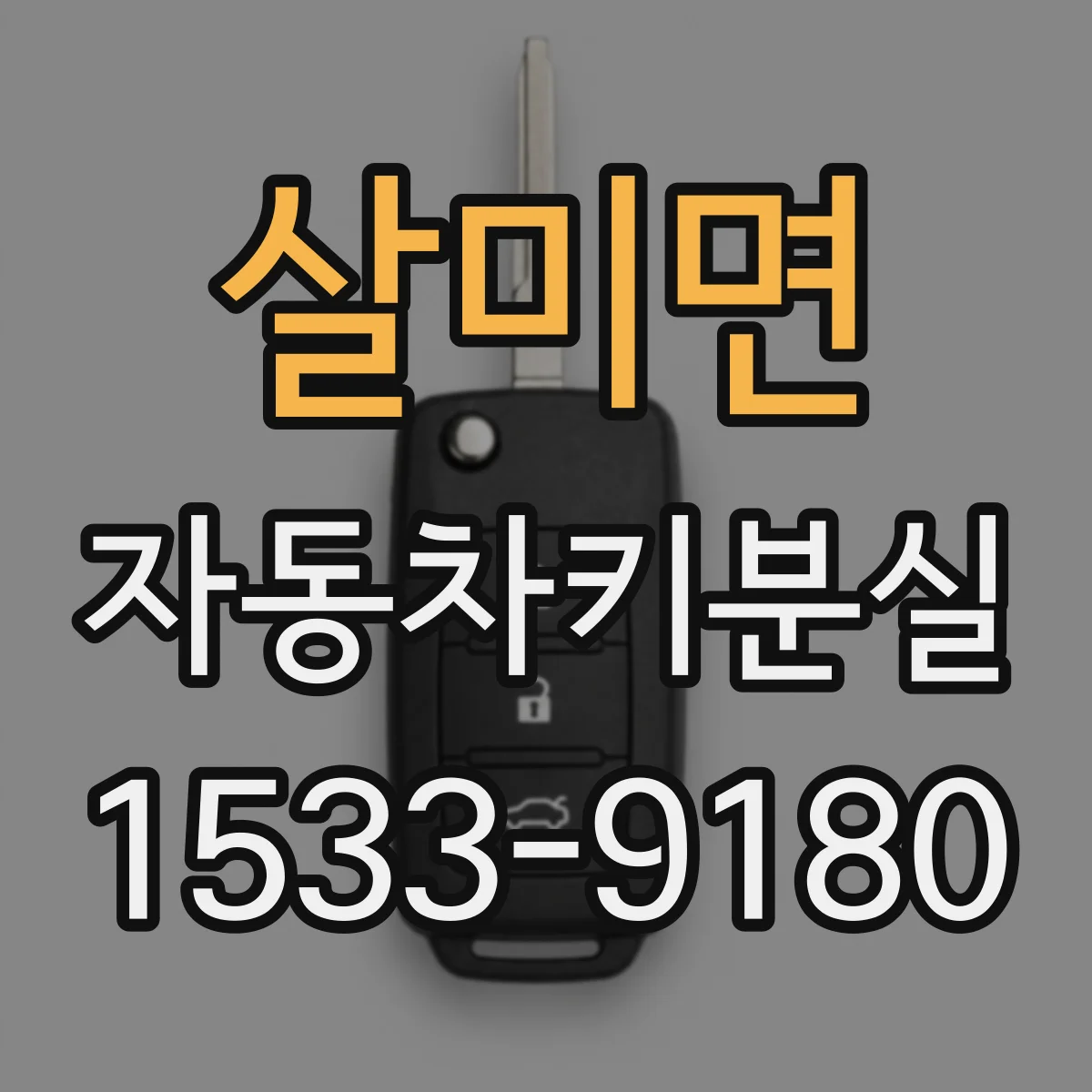 살미면 자동차키분실
