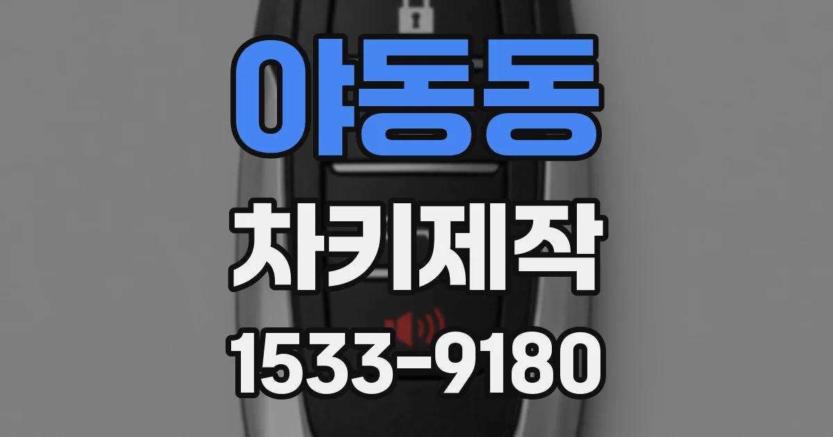 야동동 차키제작
