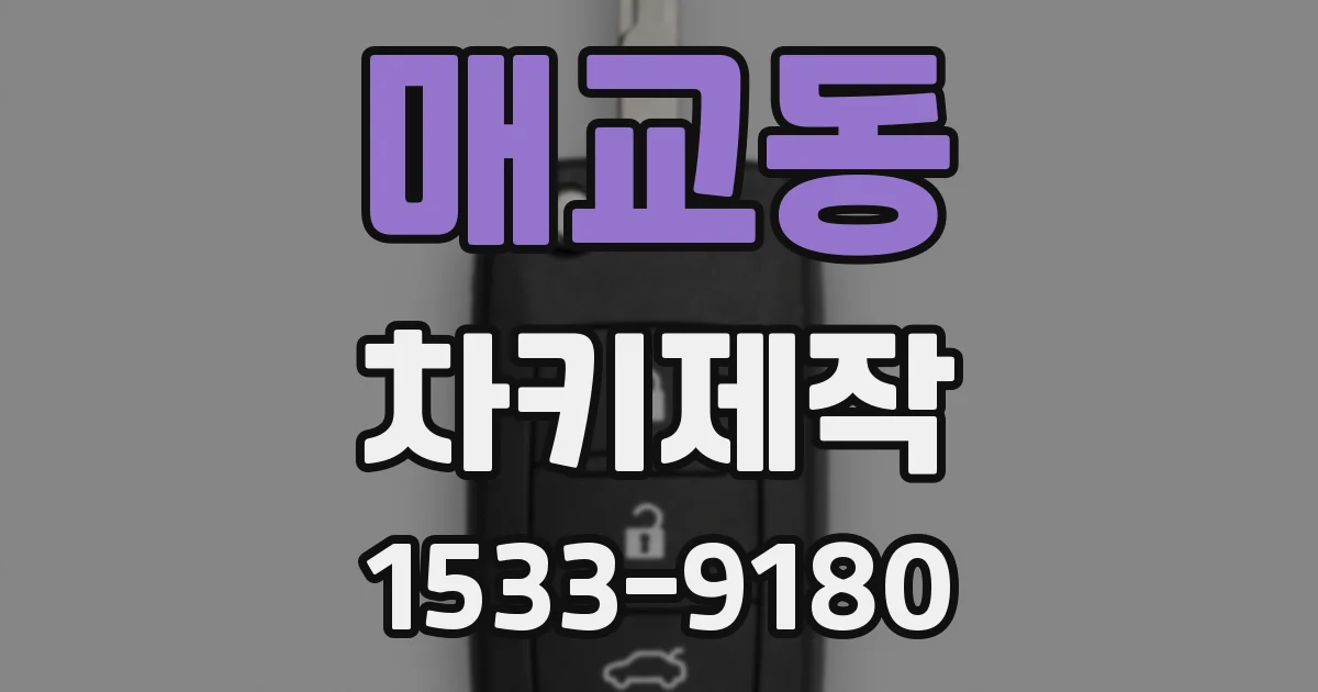 매교동 차키제작