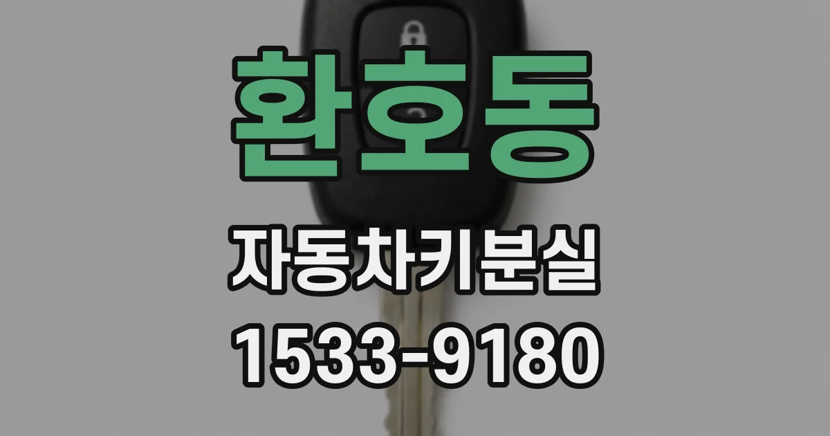 환호동 자동차키분실