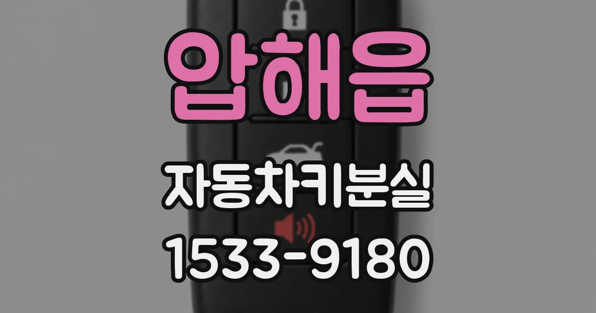 압해읍 자동차키분실