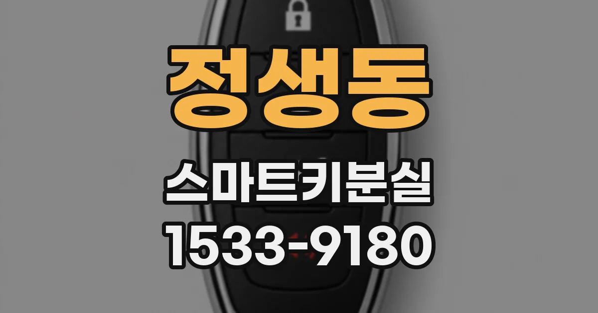 정생동 스마트키분실