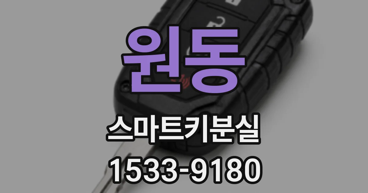 원동 스마트키분실