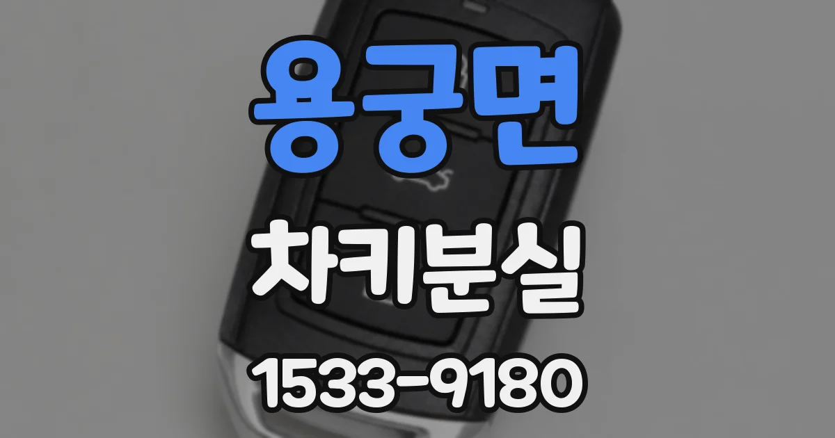 용궁면 차키분실