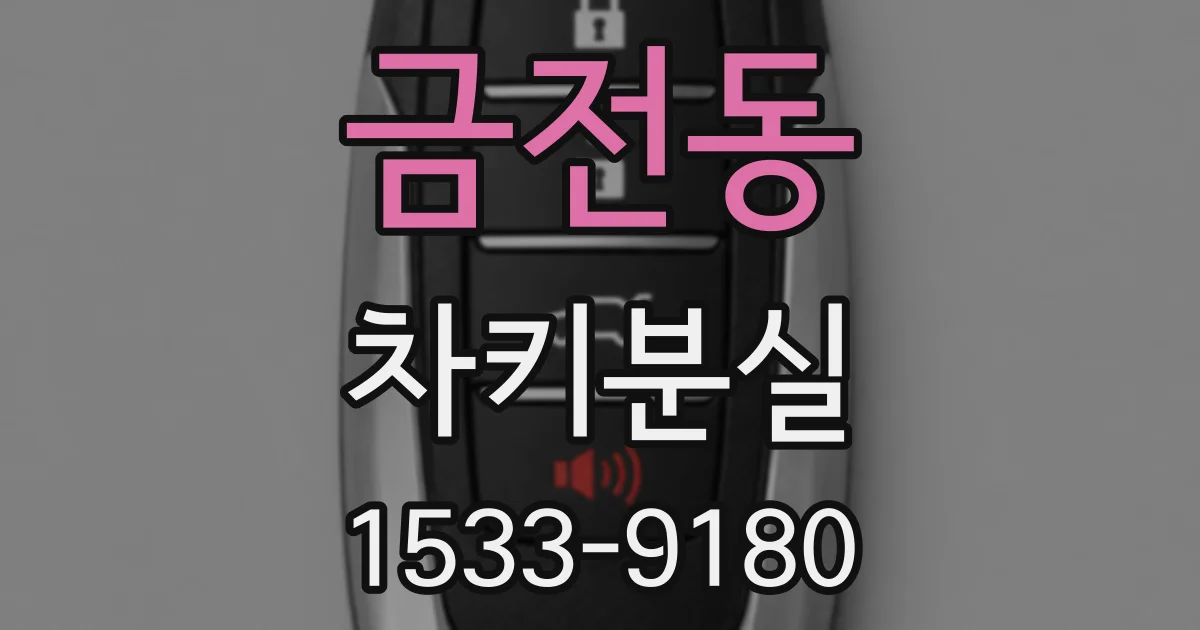 금전동 차키분실