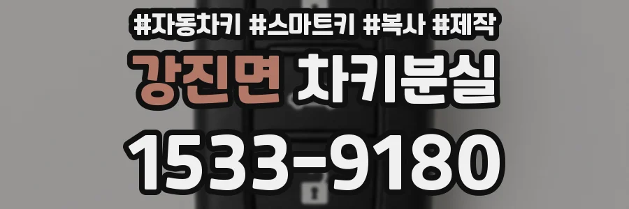 강진면 차키분실