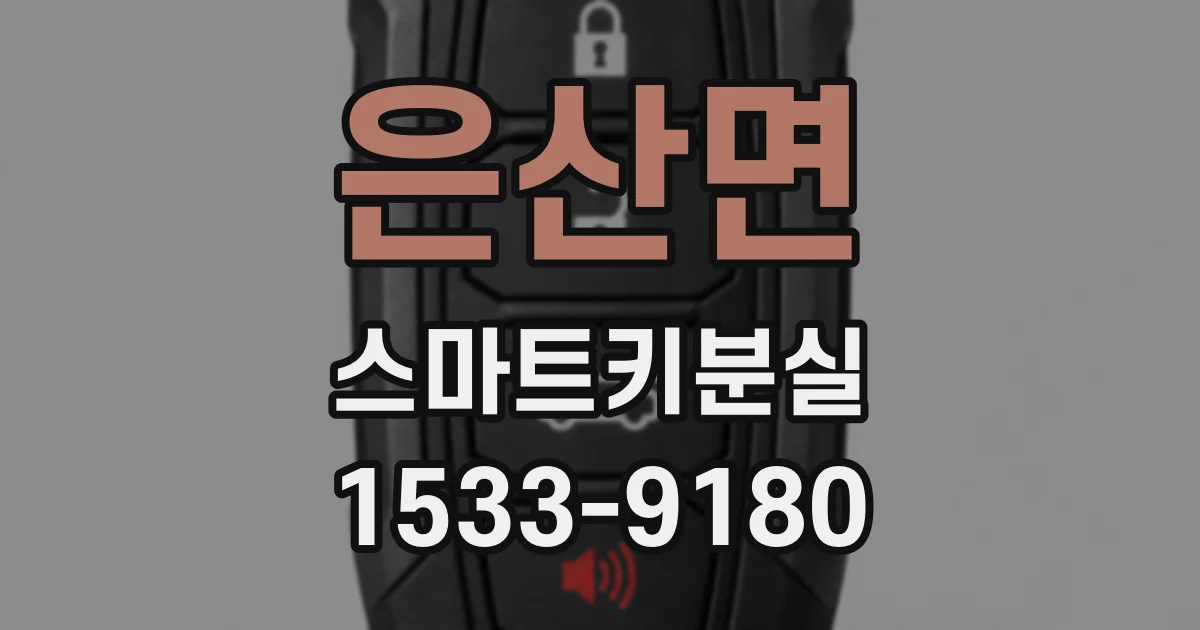 은산면 스마트키분실