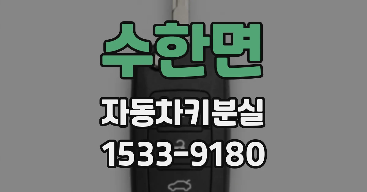 수한면 자동차키분실