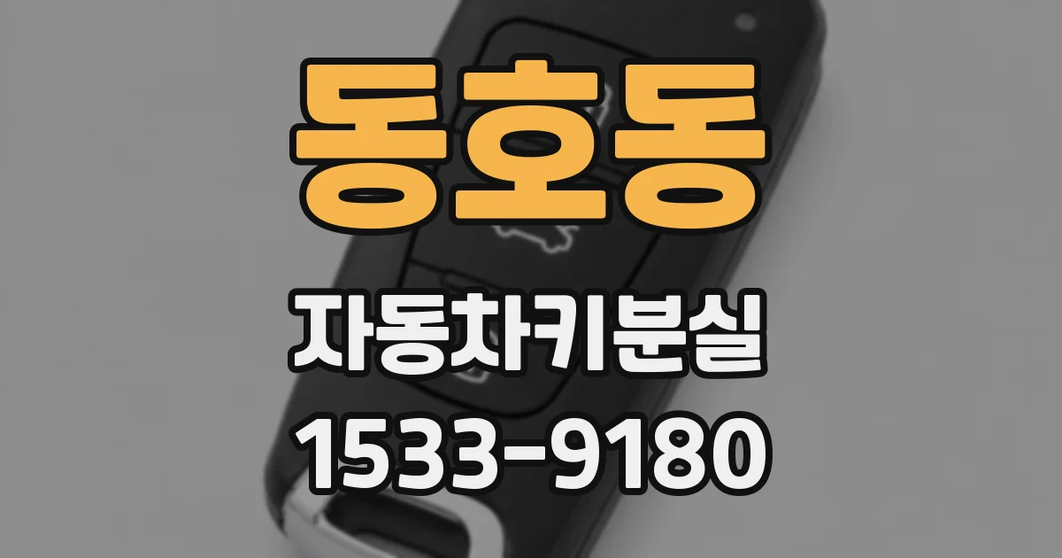 동호동 자동차키분실