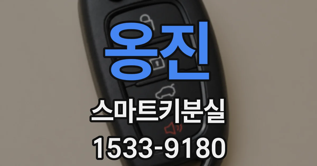 옹진 스마트키분실
