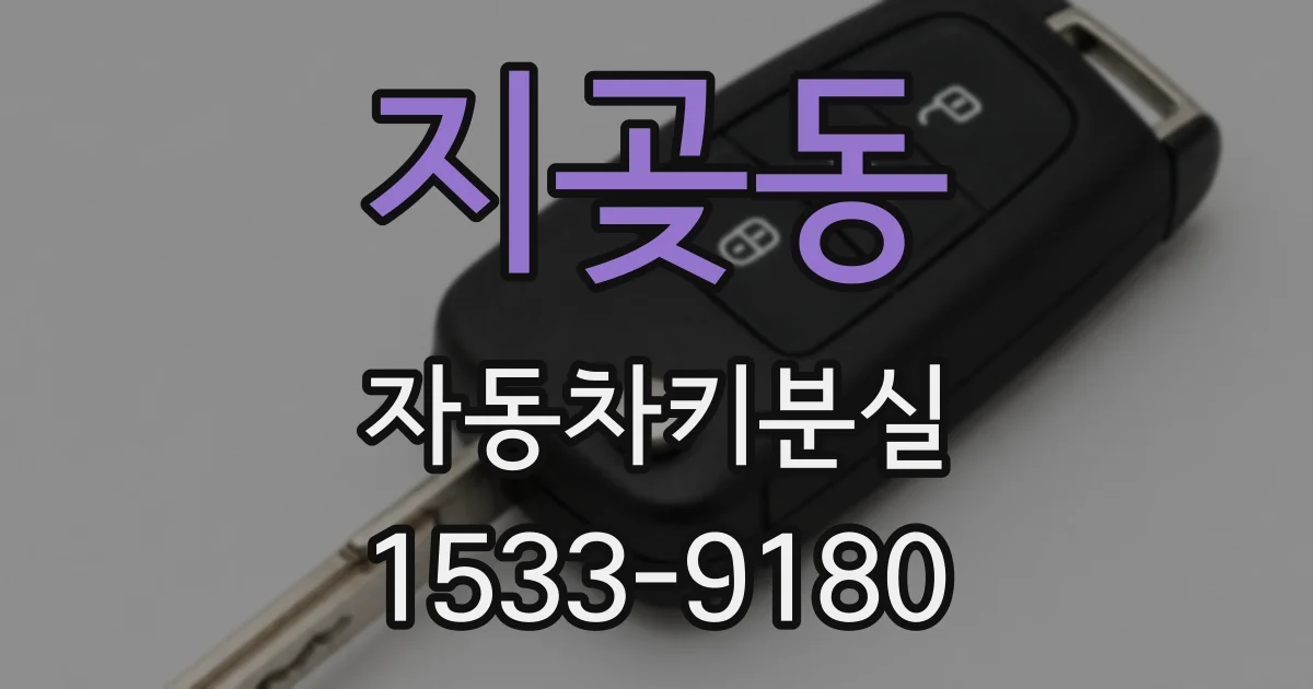 지곶동 자동차키분실