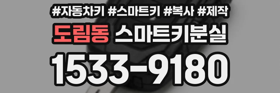 도림동 스마트키분실