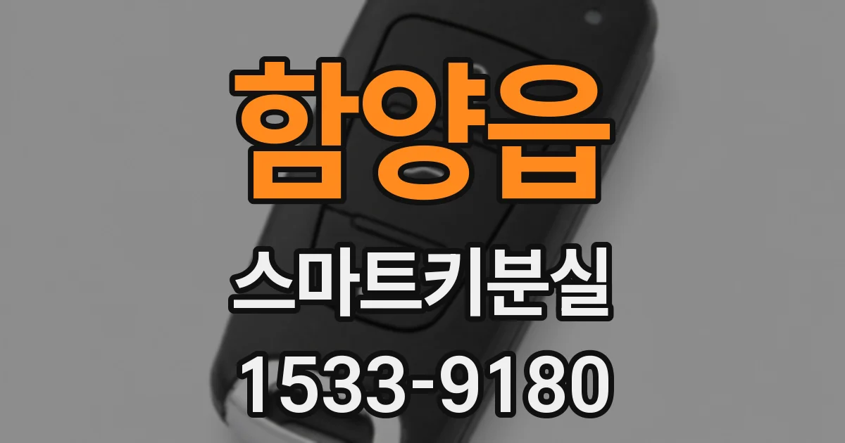 함양읍 스마트키분실