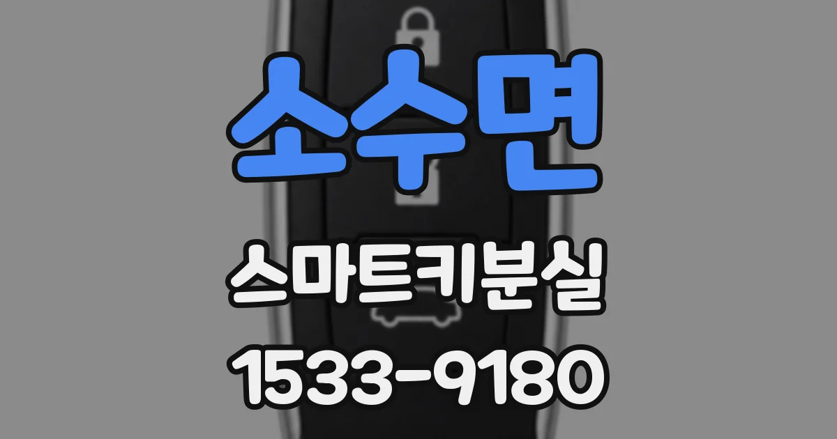 소수면 스마트키분실