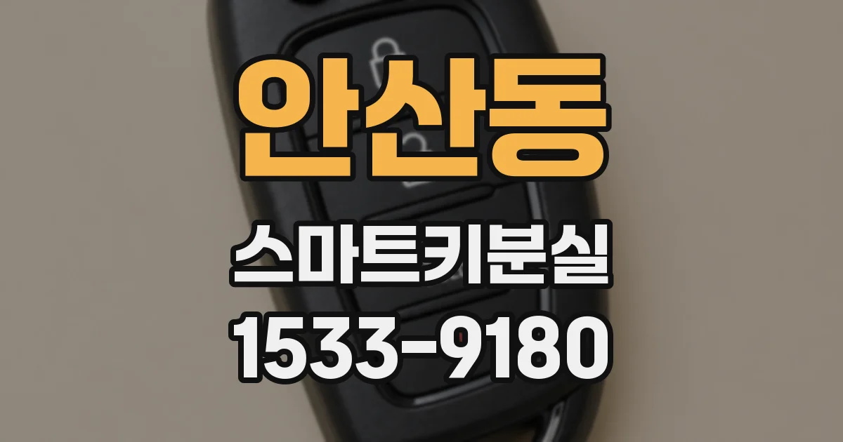 안산동 스마트키분실